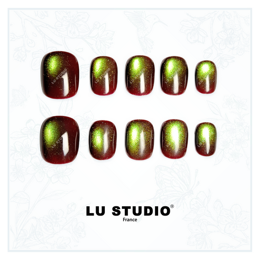 C18 - Aurore Boréale | Faux-ongles réutilisables - Press on nails