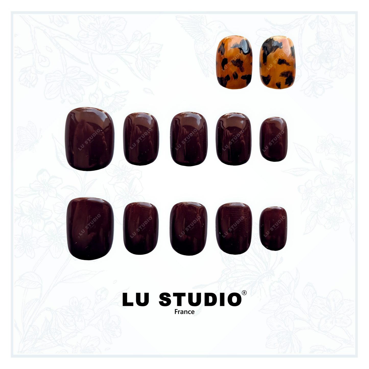 LT49 - Marron et sa pointe de noir  |  Faux-ongles réutilisables - Press on nails